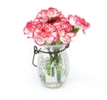 Bouquet of carnation in a glass bottle Royalty Free Stock Photo