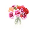 Bouquet of carnation in a glass bottle Royalty Free Stock Photo