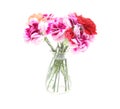 Bouquet of carnation in a glass bottle Royalty Free Stock Photo