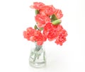 Bouquet of carnation in a glass bottle Royalty Free Stock Photo