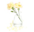 Bouquet of carnation in a glass bottle Royalty Free Stock Photo