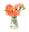 Bouquet of carnation and rose in a glass bottle Royalty Free Stock Photo