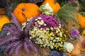 Bouquet of chrysanthemum flowers of different colors with pumpkin varieties yellow almond in the meadow. Food, vegetables, agricul Royalty Free Stock Photo