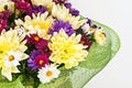 bouquet with chrysanthemums and asters on a white background close-up Royalty Free Stock Photo