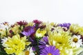 bouquet with chrysanthemums and asters on a white background close-up Royalty Free Stock Photo