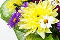 bouquet with chrysanthemums and asters on a white background close-up Royalty Free Stock Photo