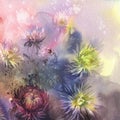 Bouquet of color asters on brown watercolor background