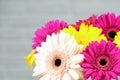 Bouquet of colored gerberas on a white brick background