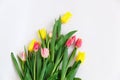 Bouquet of colored tulips on a white background. Spring flowers. Colored tulips, Lovely tulip flowers composition. Royalty Free Stock Photo