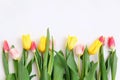 Bouquet of colored tulips on a white background. Spring flowers. Colored tulips, Lovely tulip flowers composition. Valentines Day Royalty Free Stock Photo