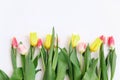 Bouquet of colored tulips on a white background. Spring flowers. Colored tulips, Lovely tulip flowers composition. Valentines Day Royalty Free Stock Photo