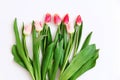 Bouquet of colored tulips on a white background. Spring flowers. Colored tulips, Lovely tulip flowers composition. Valentines Day Royalty Free Stock Photo