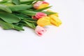 Bouquet of colored tulips on a white background. Spring flowers. Colored tulips, Lovely tulip flowers composition. Valentines Day Royalty Free Stock Photo