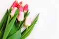 Bouquet of colored tulips on a white background. Spring flowers. Colored tulips, Lovely tulip flowers composition. Valentines Day Royalty Free Stock Photo