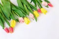 Bouquet of colored tulips on a white background. Spring flowers. Colored tulips, Lovely tulip flowers composition. Valentines Day Royalty Free Stock Photo