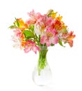 Bouquet of colorful Alstroemeria flowers in a transparent glass vase isolated on white background Royalty Free Stock Photo