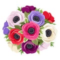 Bouquet of colorful anemone flowers. Vector illustration.