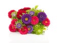 Bouquet of colorful Asters flowers