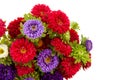 Bouquet of colorful Asters flowers