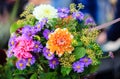 Bouquet of autumn flowers