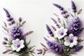 Bouquet of colorful bright flowers lavender Royalty Free Stock Photo