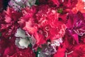 Bouquet of colorful carnations. Royalty Free Stock Photo