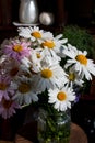 A bouquet of colorful daisies in a vase.