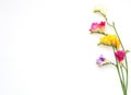 Bouquet of colorful freesia flowers on white for spring and summer holidays and post card Royalty Free Stock Photo