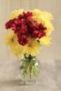 Bouquet of colorful mini chrysanthemum flowers in a vase on a table