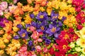 Bouquet of colorful multicolored colorful flowers