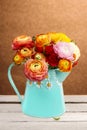 Bouquet of colorful persian buttercup flowers