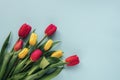 Bouquet of colorful red and yellow tulip flowers on blue background. Spring holidays concept. Top view, flat lay, copy Royalty Free Stock Photo