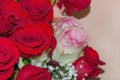 A bouquet of colorful roses on a beige, neutral background