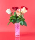 Bouquet of Colorful Roses in a Decorative Vase Isolated on Red Background. Royalty Free Stock Photo