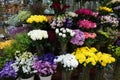 Bouquet of colorful roses and other different flowers at the entry to flower shop at farmers` market. Colorful peony, roses etc.