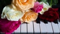 Bouquet of colorful roses on the piano. Flowers on a musical instrument. Greeting card. International women`s day, mother`s day, Royalty Free Stock Photo