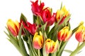 Bouquet of colorful spring flower of tulips isolated on white background, close up Royalty Free Stock Photo