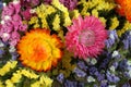 Colorful Statice Limonium and Helichrysum flowers background