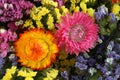 Colorful Statice Limonium and Helichrysum flowers background