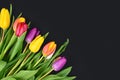 Bouquet of colorful tulip spring flowers in corner of dark black background with blank copy space Royalty Free Stock Photo