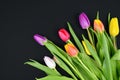 Bouquet of colorful tulip spring flowers in right lower corner of dark black background Royalty Free Stock Photo