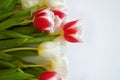 A bouquet of colorful tulips. beautiful spring flowers. background for decoration for the Easter holiday. Royalty Free Stock Photo