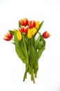 A bouquet of colorful tulips. beautiful spring flowers. background for decoration for the Easter holiday. Royalty Free Stock Photo