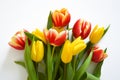 A bouquet of colorful tulips. beautiful spring flowers. background for decoration for the Easter holiday. Royalty Free Stock Photo