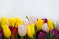 A bouquet of colorful tulips. beautiful spring flowers. background for decoration for the Easter holiday. Royalty Free Stock Photo