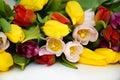 A bouquet of colorful tulips. beautiful spring flowers. background for decoration for the Easter holiday. Royalty Free Stock Photo