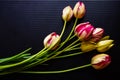 Bouquet of colorful tulips on black background. Top view. Illumination from above. Close-up. Copy space Royalty Free Stock Photo