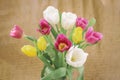 Bouquet of colorful tulips, bright flowers close-up. Concept of spring, holidays and gifts