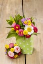 Bouquet of colorful wild flowers in green dotted can