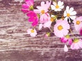 Bouquet of colorful wildflowers on an old wooden textural background